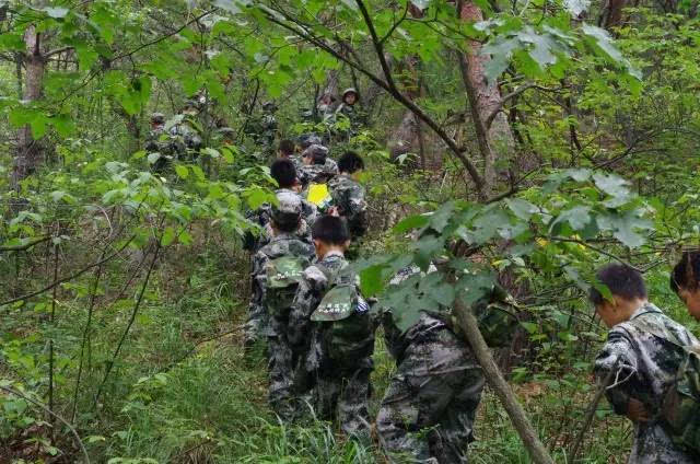 src=http___img.mp.sohu.com_q_mini,c_zoom,w_640_upload_20170715_34d1c61af8964d6284e9055c10fdb8bd_th&refer=http___img.mp.sohu